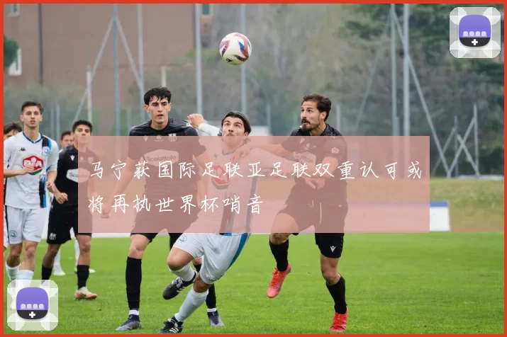 马宁获国际足联亚足联双重认可或将再执世界杯哨音